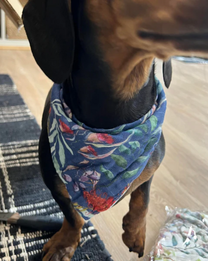 Christmas in the Bay - Baby Bib/Bandana/Pet Bandana