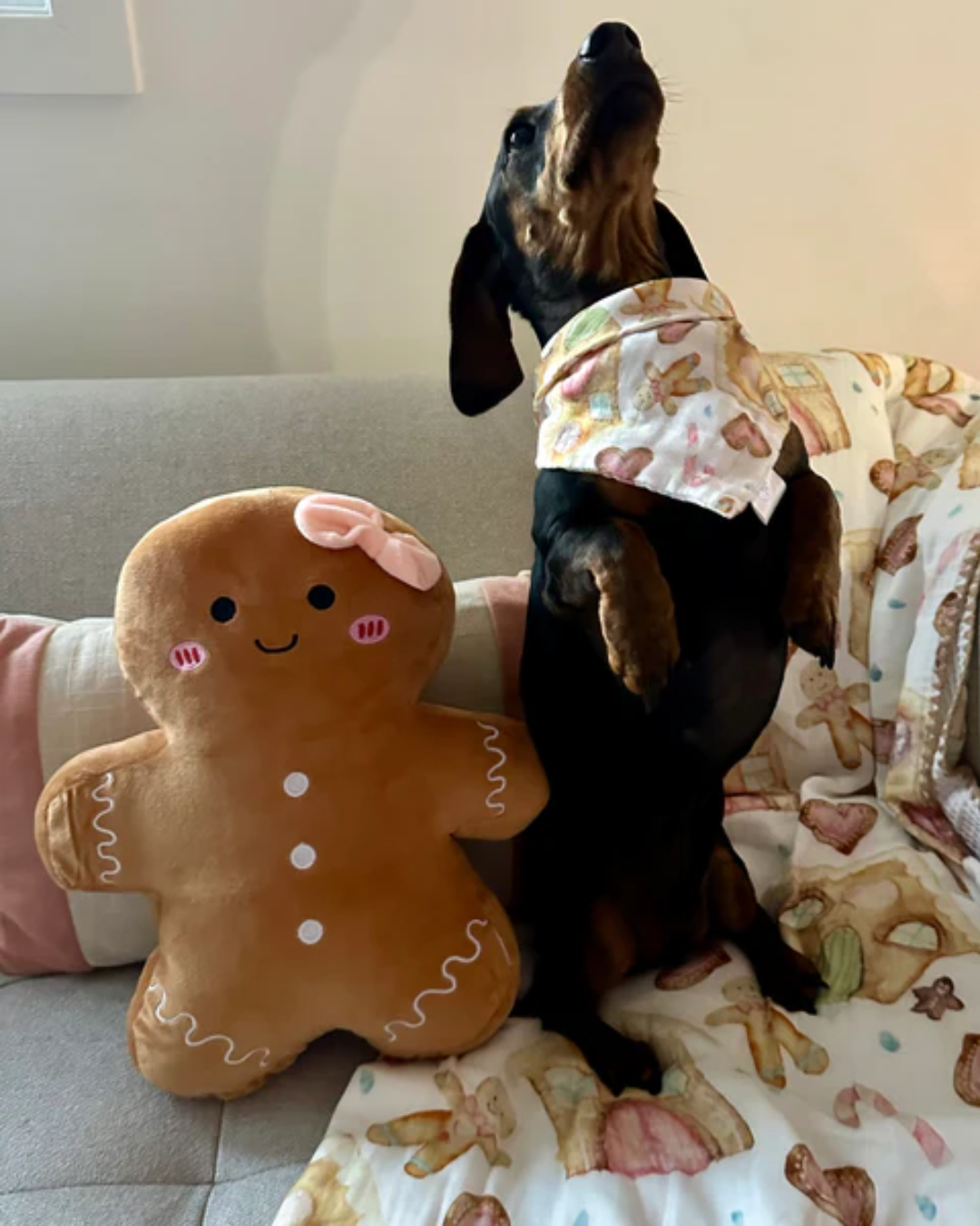 Gingerbread Dreams - Baby Bib/Bandana/Pet Bandana