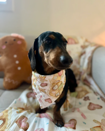 Gingerbread Dreams - Baby Bib/Bandana/Pet Bandana