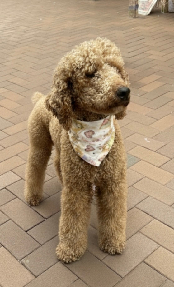 Gingerbread Dreams - Baby Bib/Bandana/Pet Bandana