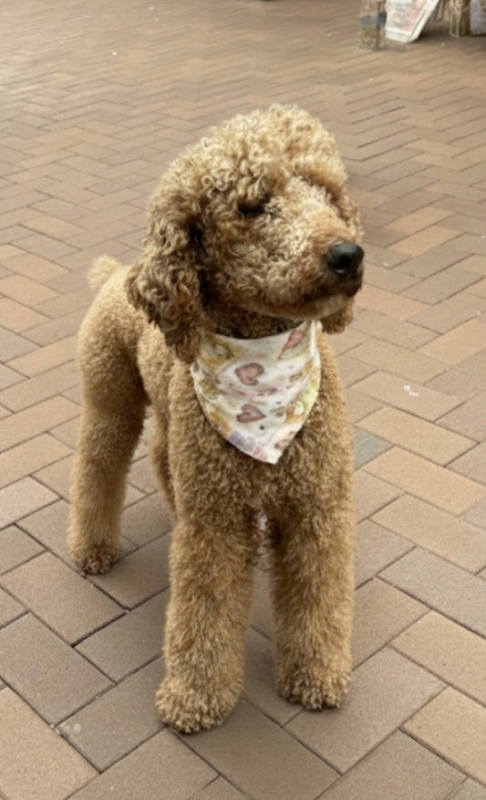 Gingerbread Dreams - Baby Bib/Bandana/Pet Bandana