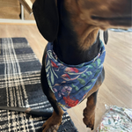 Load image into Gallery viewer, Dog wearing bandana in Christmas print design
