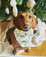 Load image into Gallery viewer, Sausage dog wearing pet bandana in native Australian flora design
